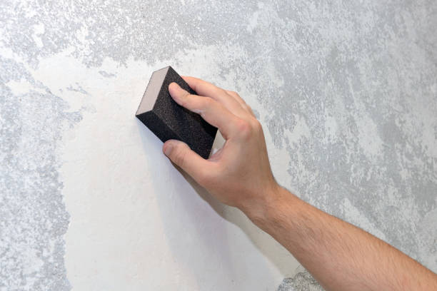 Best Mold Prevention Services  in Mobile, AL